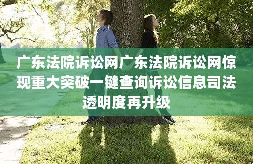 广东法院诉讼网广东法院诉讼网惊现重大突破一键查询诉讼信息司法透明度再升级