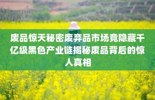 废品惊天秘密废弃品市场竟隐藏千亿级黑色产业链揭秘废品背后的惊人真相