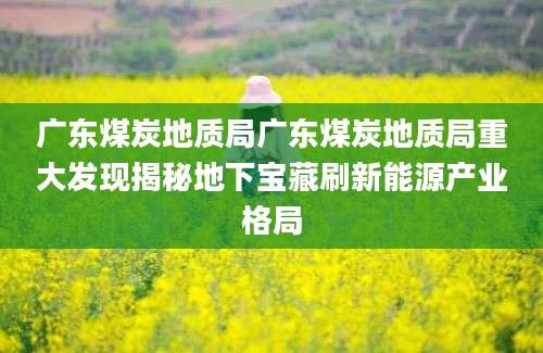 广东煤炭地质局广东煤炭地质局重大发现揭秘地下宝藏刷新能源产业格局