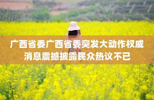 广西省委广西省委突发大动作权威消息震撼披露民众热议不已