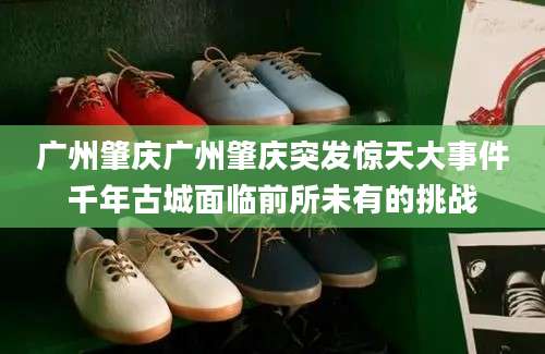 广州肇庆广州肇庆突发惊天大事件千年古城面临前所未有的挑战