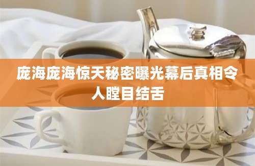 庞海庞海惊天秘密曝光幕后真相令人瞠目结舌