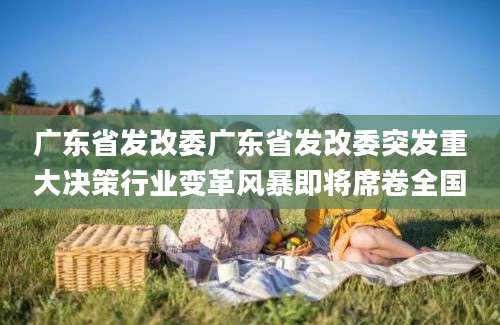 广东省发改委广东省发改委突发重大决策行业变革风暴即将席卷全国