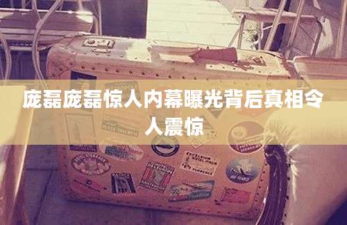 庞磊庞磊惊人内幕曝光背后真相令人震惊