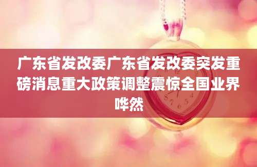 广东省发改委广东省发改委突发重磅消息重大政策调整震惊全国业界哗然