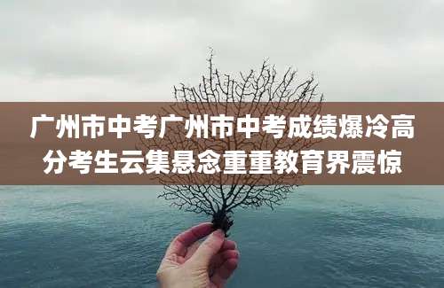 广州市中考广州市中考成绩爆冷高分考生云集悬念重重教育界震惊