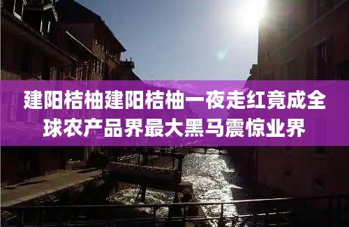 建阳桔柚建阳桔柚一夜走红竟成全球农产品界最大黑马震惊业界