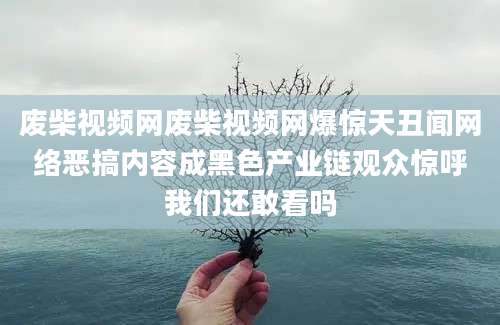 废柴视频网废柴视频网爆惊天丑闻网络恶搞内容成黑色产业链观众惊呼我们还敢看吗