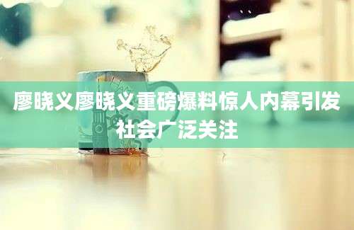 廖晓义廖晓义重磅爆料惊人内幕引发社会广泛关注