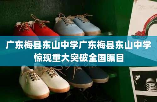 广东梅县东山中学广东梅县东山中学惊现重大突破全国瞩目
