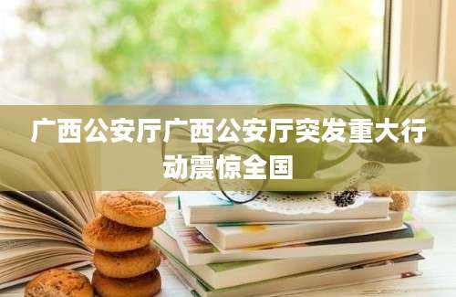 广西公安厅广西公安厅突发重大行动震惊全国