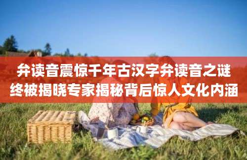 弁读音震惊千年古汉字弁读音之谜终被揭晓专家揭秘背后惊人文化内涵