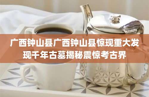 广西钟山县广西钟山县惊现重大发现千年古墓揭秘震惊考古界