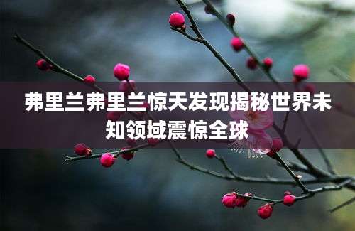 弗里兰弗里兰惊天发现揭秘世界未知领域震惊全球