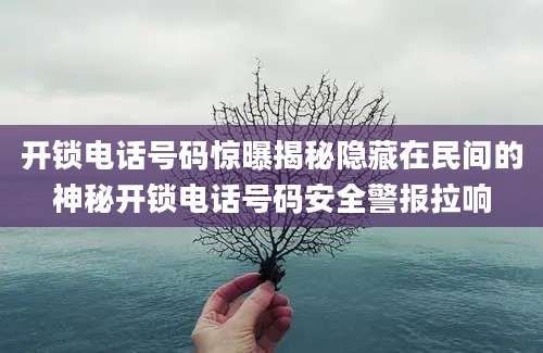 开锁电话号码惊曝揭秘隐藏在民间的神秘开锁电话号码安全警报拉响