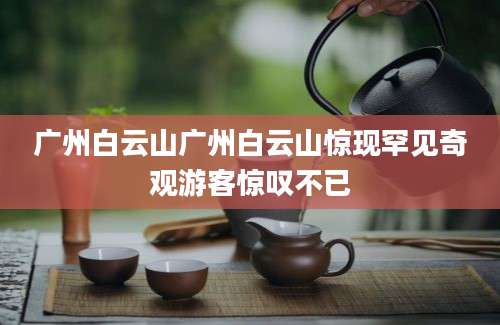 广州白云山广州白云山惊现罕见奇观游客惊叹不已