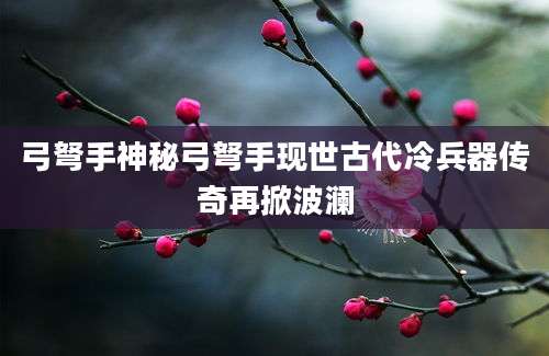 弓弩手神秘弓弩手现世古代冷兵器传奇再掀波澜