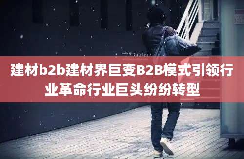建材b2b建材界巨变B2B模式引领行业革命行业巨头纷纷转型