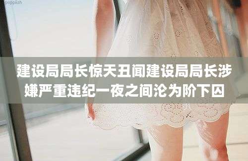 建设局局长惊天丑闻建设局局长涉嫌严重违纪一夜之间沦为阶下囚