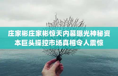 庄家彬庄家彬惊天内幕曝光神秘资本巨头操控市场真相令人震惊
