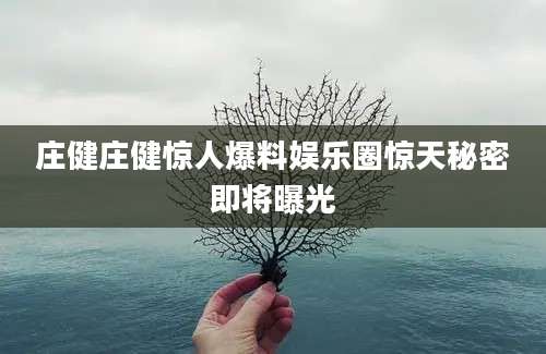 庄健庄健惊人爆料娱乐圈惊天秘密即将曝光