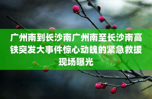 广州南到长沙南广州南至长沙南高铁突发大事件惊心动魄的紧急救援现场曝光