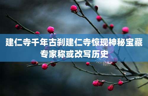 建仁寺千年古刹建仁寺惊现神秘宝藏专家称或改写历史